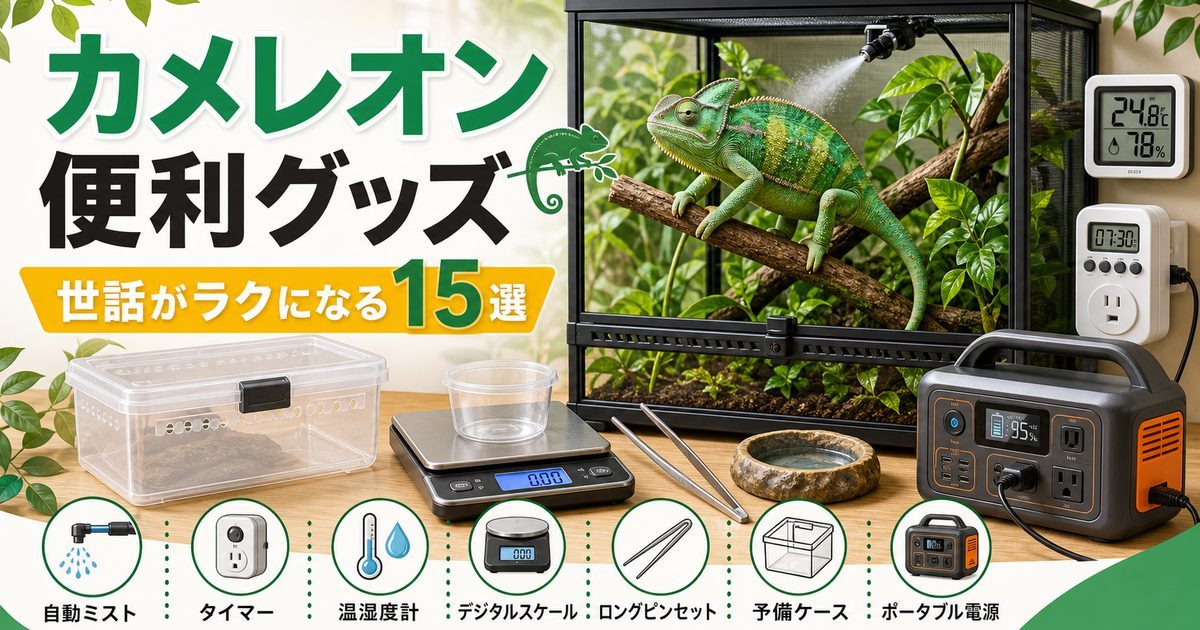 カメレオン飼育の便利グッズ15選！あると世話がラクになるお役立ちアイテムの要点を伝えるカメレオン・爬虫類記事アイキャッチ画像