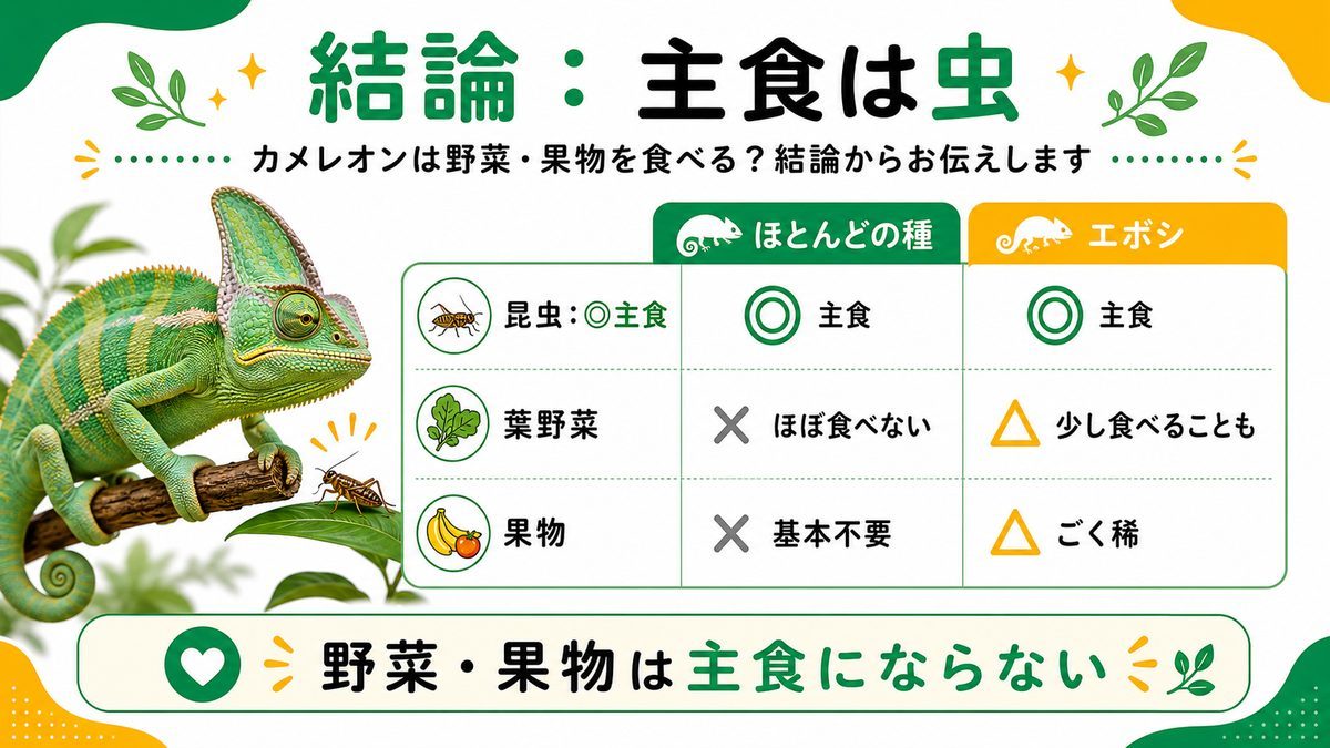 カメレオンは野菜・果物を食べる？結論からお伝えしますの要点をまとめたカメレオン・爬虫類飼育インフォグラフィック
