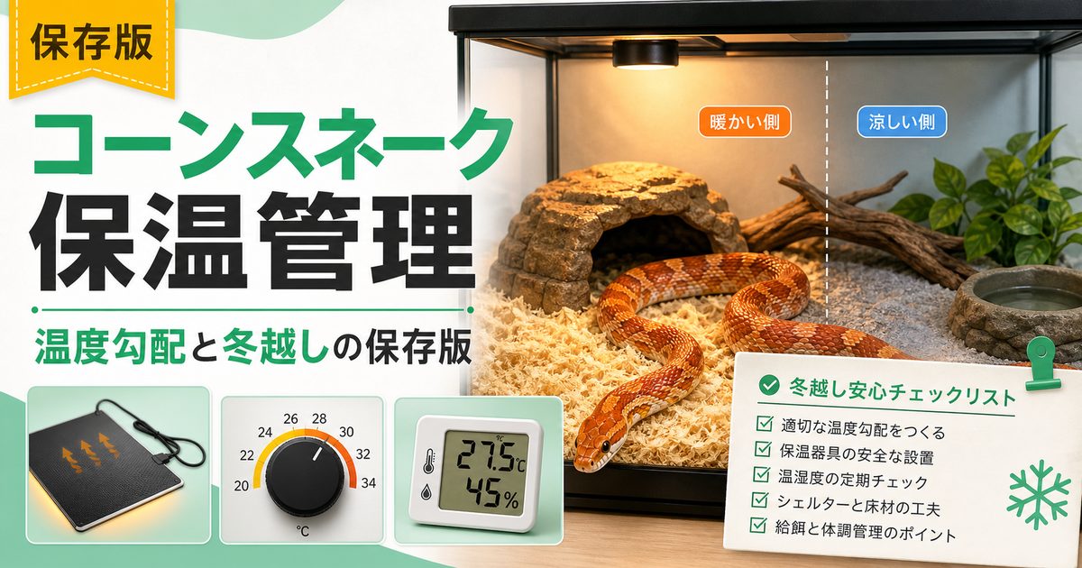 コーンスネークの保温・温度管理完全ガイド！冬の寒さ対策とパネルヒーターの選び方の要点を伝えるカメレオン・爬虫類記事アイキャッチ画像