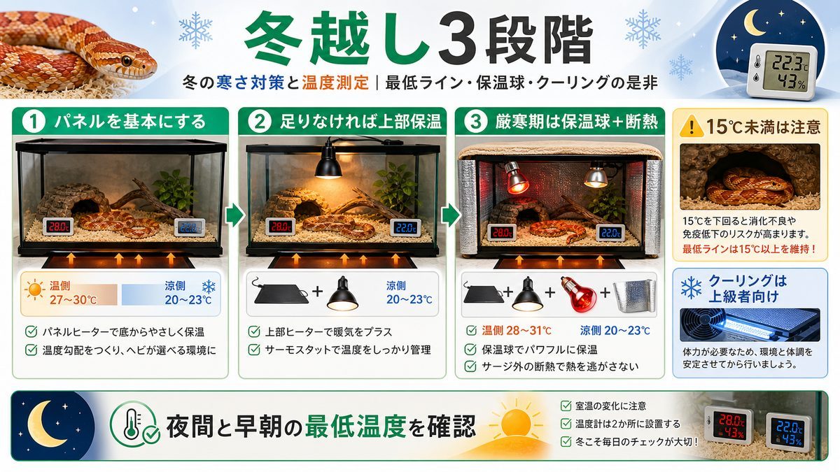 冬の寒さ対策と温度測定｜最低ライン・保温球・クーリングの是非の要点をまとめたカメレオン・爬虫類飼育インフォグラフィック