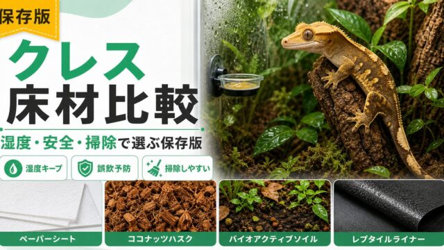 クレステッドゲッコーの床材おすすめ比較！多湿維持と誤飲で選ぶ正解の要点を伝えるカメレオン・爬虫類記事アイキャッチ画像