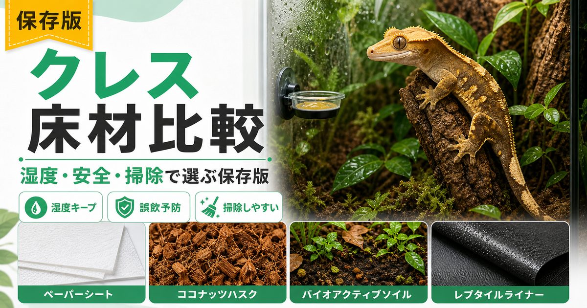 クレステッドゲッコーの床材おすすめ比較！多湿維持と誤飲で選ぶ正解の要点を伝えるカメレオン・爬虫類記事アイキャッチ画像