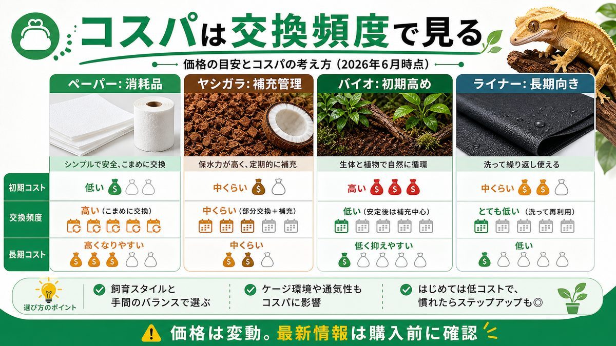 価格の目安とコスパの考え方(2026年6月時点)の要点をまとめたカメレオン・爬虫類飼育インフォグラフィック