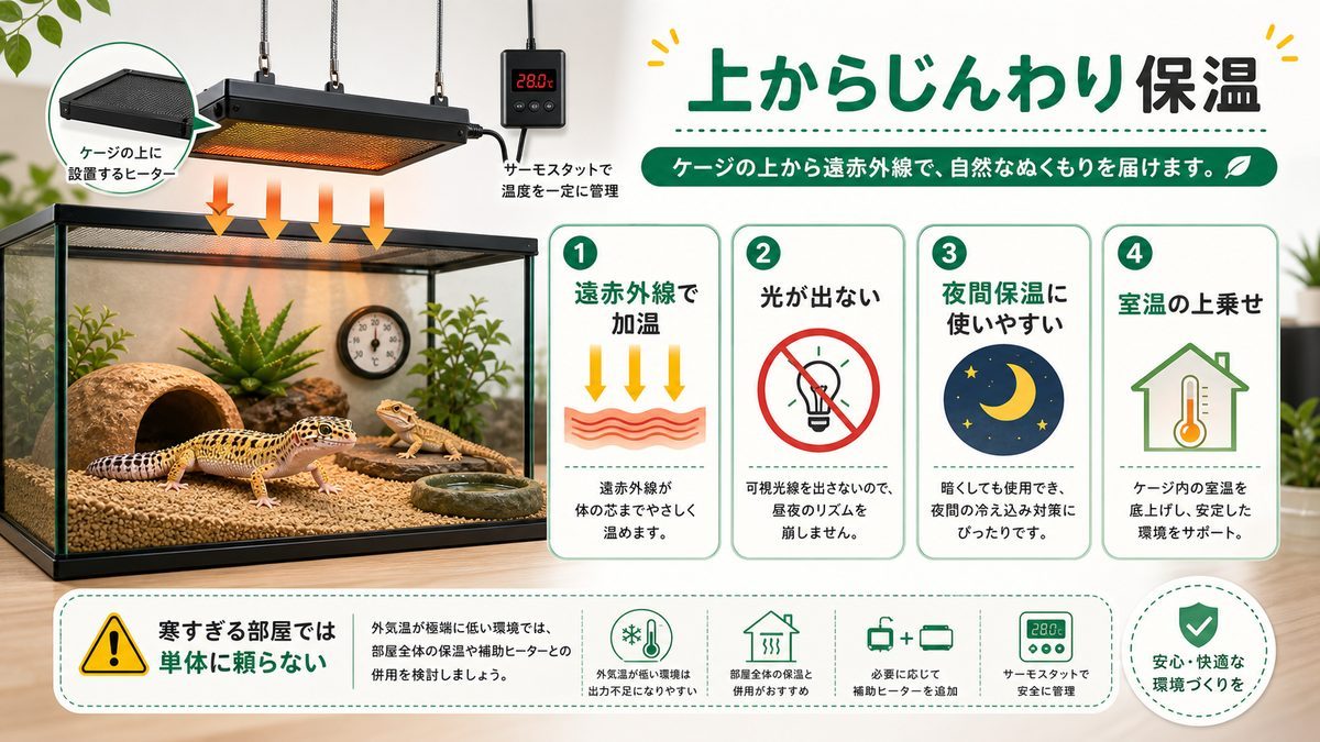 暖突とは？ケージの上から暖める遠赤外線ヒーター🔥の要点をまとめたカメレオン・爬虫類飼育インフォグラフィック
