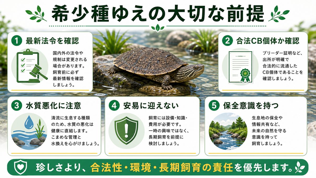 健康・保全・入手|希少種ゆえの大切な前提の要点をまとめたカメレオン・爬虫類飼育インフォグラフィック