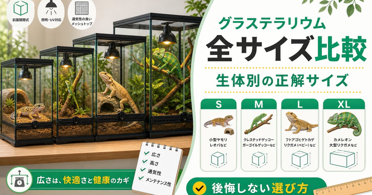 グラステラリウム全サイズ比較表！生体別の正解サイズと後悔しない選び方の要点を伝えるカメレオン・爬虫類記事アイキャッチ画像