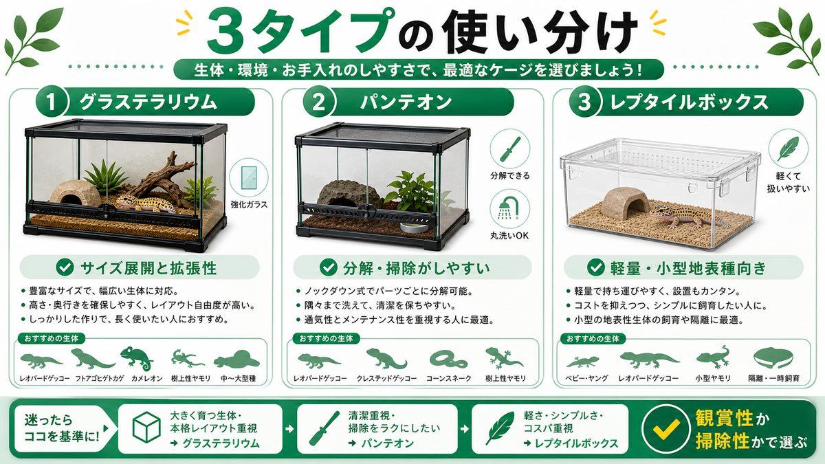 パンテオン・レプタイルボックスとの違いは？使い分けの結論の要点をまとめたカメレオン・爬虫類飼育インフォグラフィック