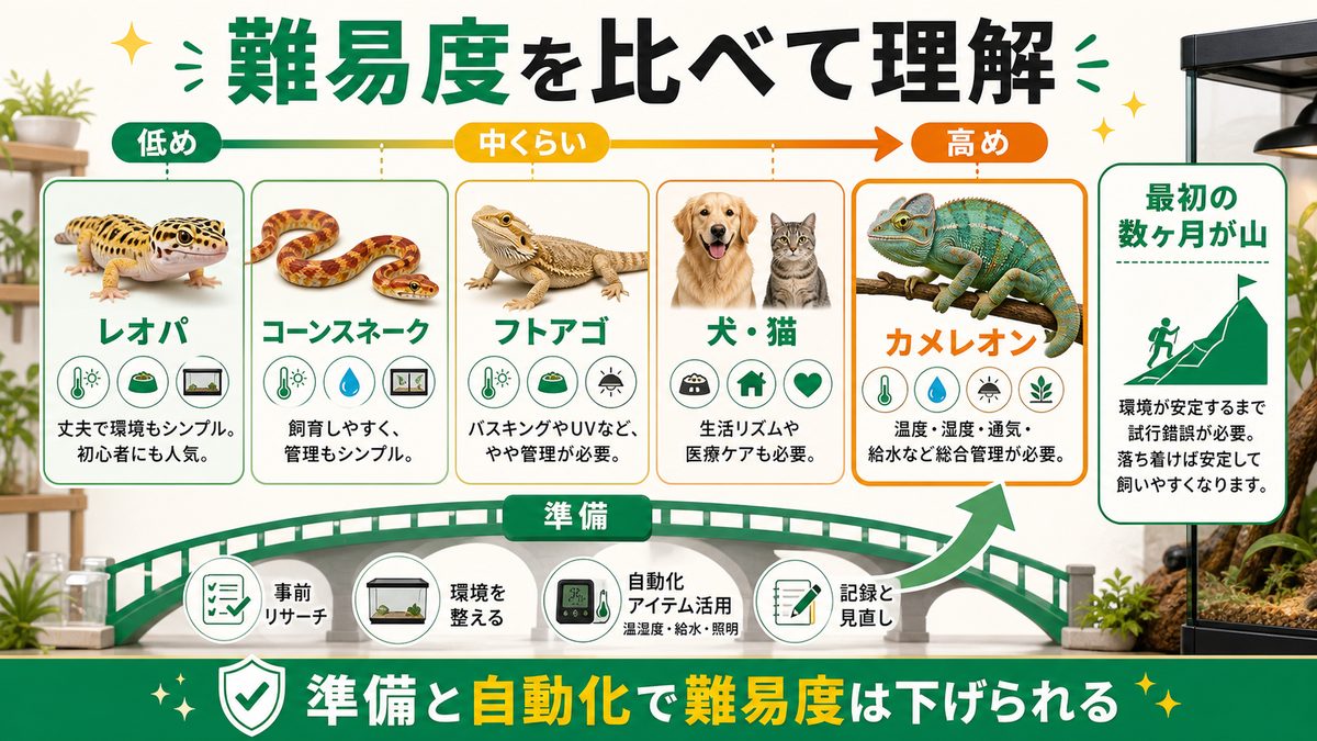 他のペット・爬虫類と難易度を比較の要点をまとめたカメレオン・爬虫類飼育インフォグラフィック