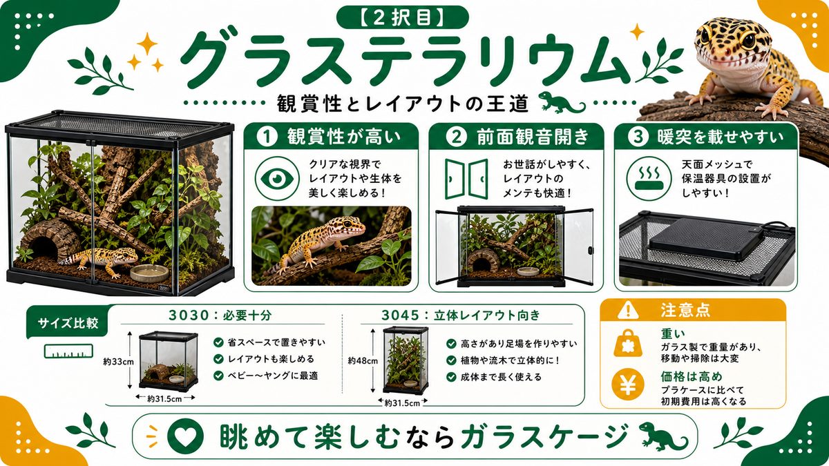 【2択目】グラステラリウム（GEX）｜観賞性とレイアウトの王道の要点をまとめたカメレオン・爬虫類飼育インフォグラフィック