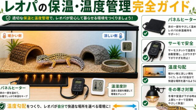 レオパの保温・温度管理完全ガイド！パネルヒーターの選び方と冬の寒さ対策の要点を伝えるカメレオン・爬虫類記事アイキャッチ画像