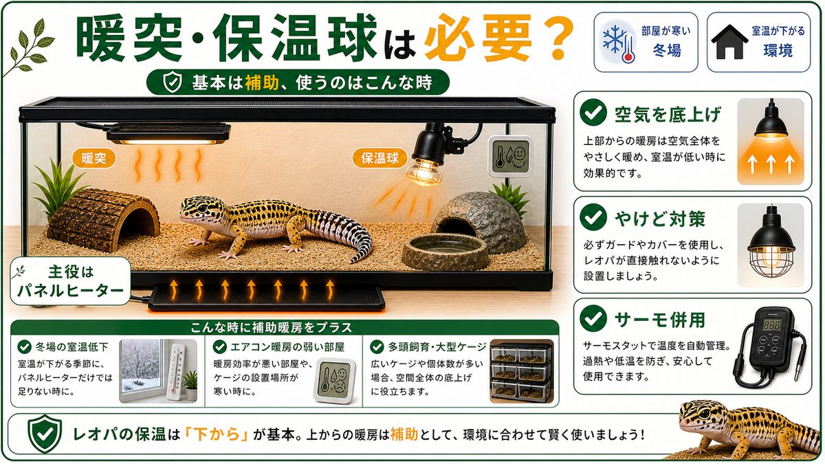 暖突・保温球は必要？ 基本は補助、使うのはこんな時の要点をまとめたカメレオン・爬虫類飼育インフォグラフィック