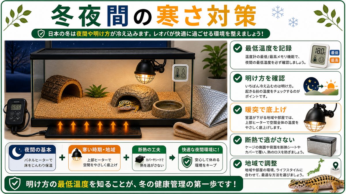 日本の冬・夜間の寒さ対策：地域とライフスタイルで変わるの要点をまとめたカメレオン・爬虫類飼育インフォグラフィック