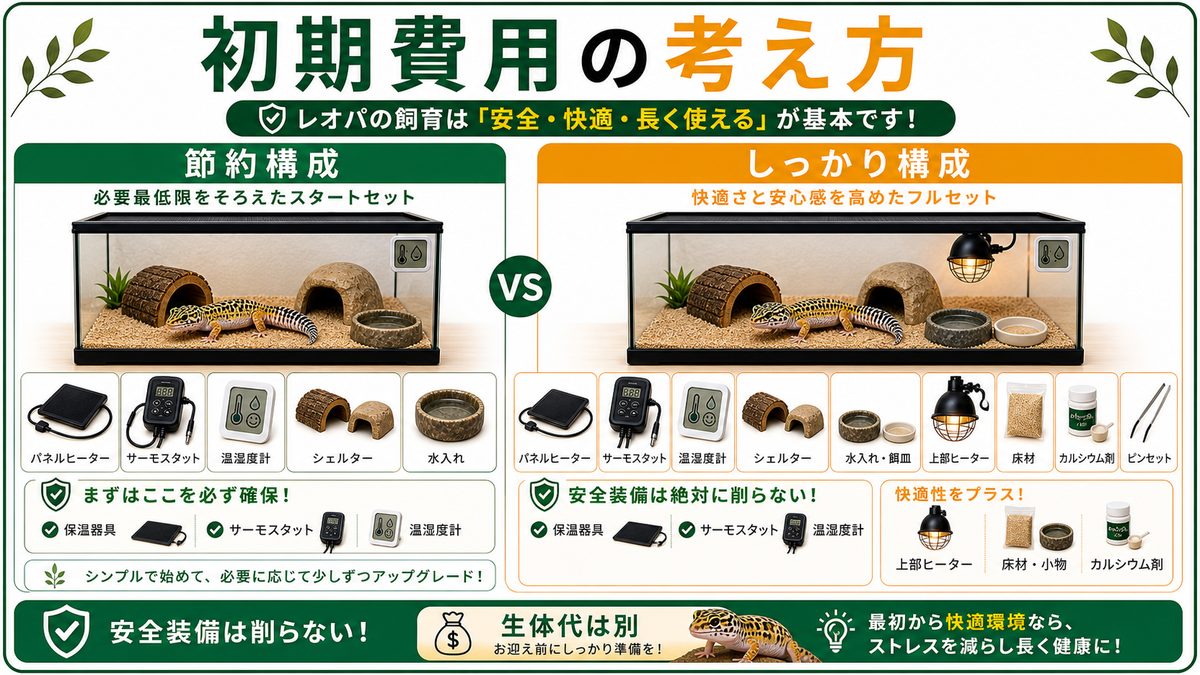 初期費用の目安｜節約構成 vs しっかり構成の要点をまとめたカメレオン・爬虫類飼育インフォグラフィック
