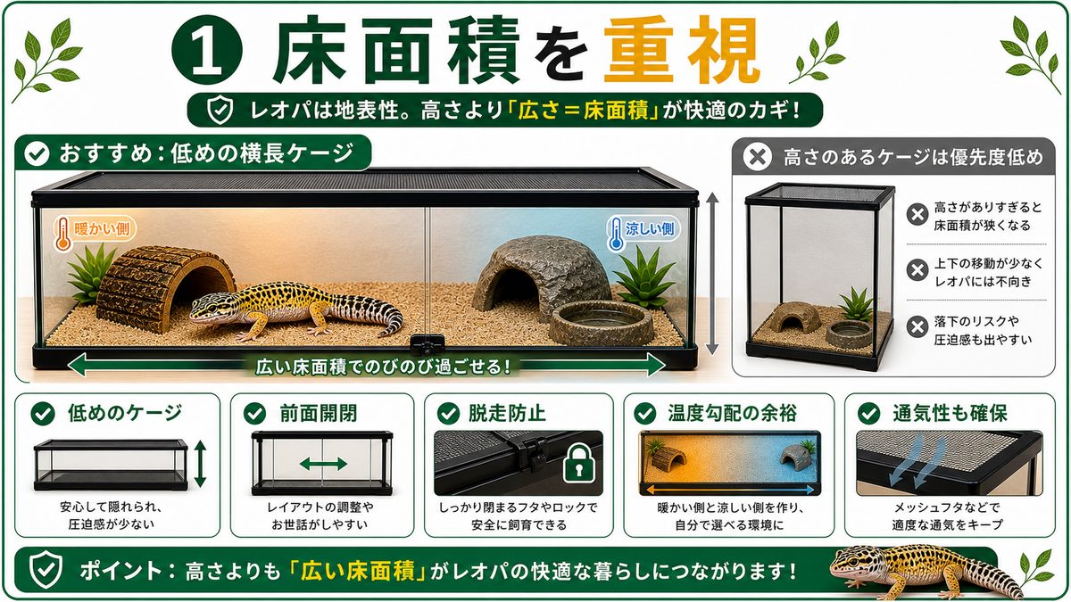 ①ケージ｜床面積を重視した低めのタイプをの要点をまとめたカメレオン・爬虫類飼育インフォグラフィック