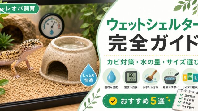 レオパのウェットシェルター完全ガイド！カビ対策・水の量とおすすめ5選の要点を伝えるカメレオン・爬虫類記事アイキャッチ画像