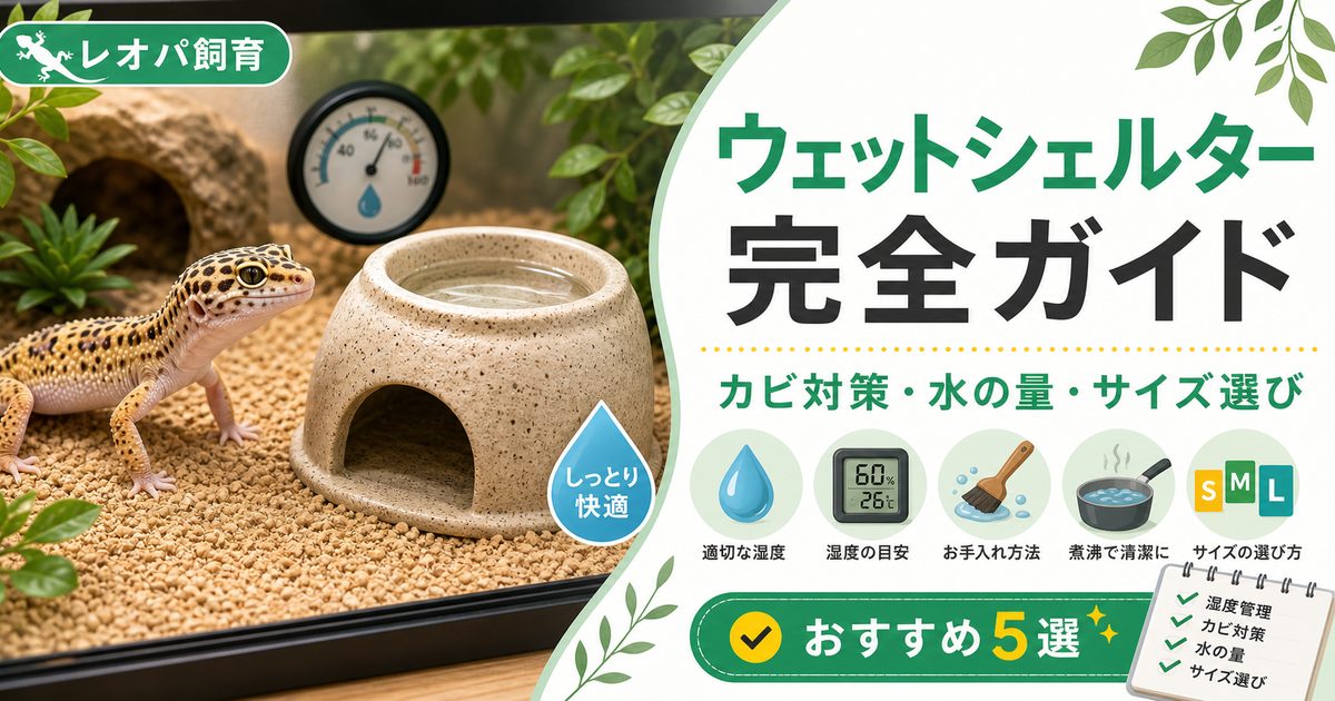 レオパのウェットシェルター完全ガイド！カビ対策・水の量とおすすめ5選の要点を伝えるカメレオン・爬虫類記事アイキャッチ画像