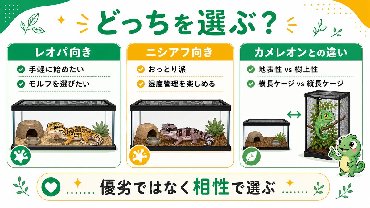 どっちを選ぶ？タイプ別おすすめ＋カメレオンとの違いの要点をまとめたカメレオン・爬虫類飼育インフォグラフィック