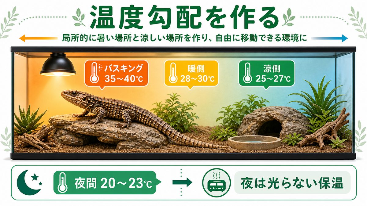 温度・バスキング・保温の要点をまとめたカメレオン・爬虫類飼育インフォグラフィック