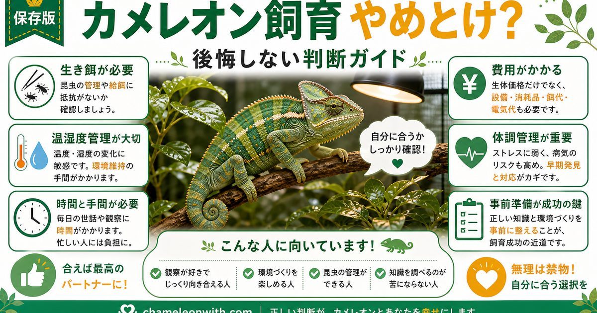 カメレオン飼育は「やめとけ」？飼って後悔する人の特徴とデメリット・続けられる人の条件を徹底解説の要点を伝えるカメレオン・爬虫類記事アイキャッチ画像