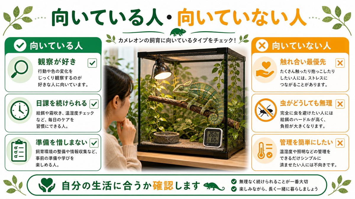 向いている人・向いていない人の要点をまとめたカメレオン・爬虫類飼育インフォグラフィック