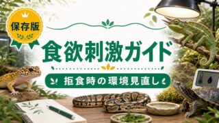 爬虫類の食欲刺激・採食促進完全ガイド｜拒食気味・食欲低下した爬虫類を再び食べさせる科学的アプローチの要点を伝えるカメレオン・爬虫類記事アイキャッチ画像