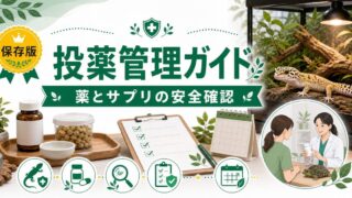 爬虫類の投薬・薬物相互作用完全ガイド｜抗生物質・駆虫薬・サプリの組み合わせリスクと安全な投薬管理を徹底解説の要点を伝えるカメレオン・爬虫類記事アイキャッチ画像