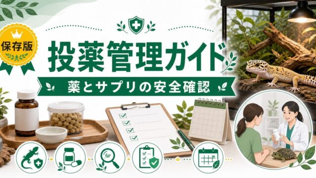 爬虫類の投薬・薬物相互作用完全ガイド｜抗生物質・駆虫薬・サプリの組み合わせリスクと安全な投薬管理を徹底解説の要点を伝えるカメレオン・爬虫類記事アイキャッチ画像