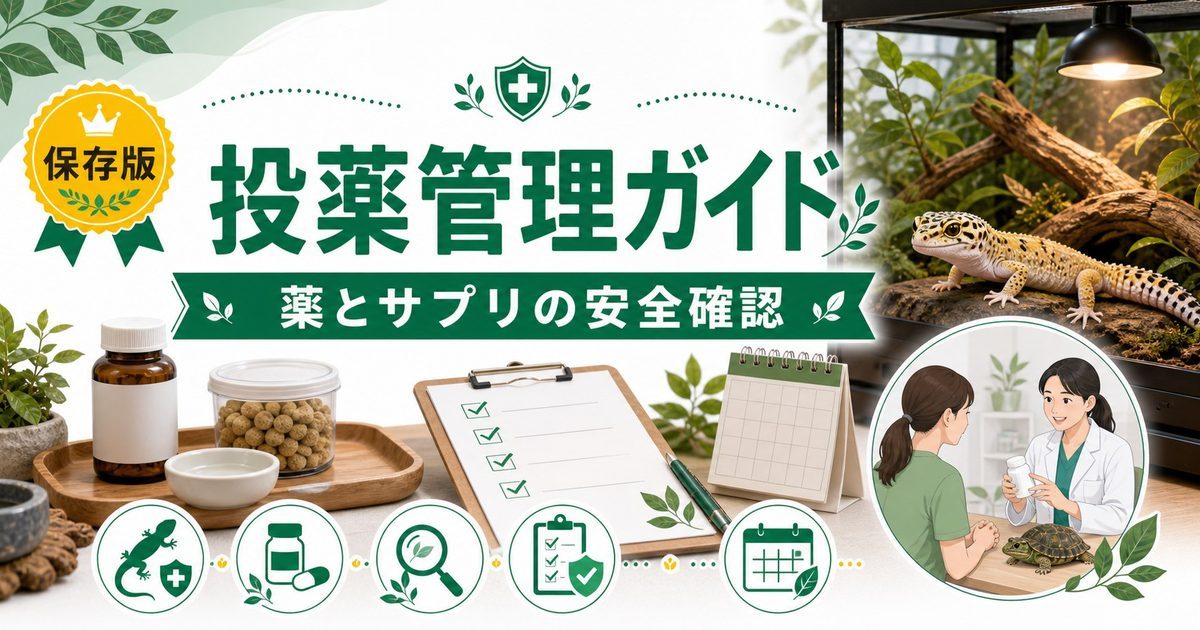 爬虫類の投薬・薬物相互作用完全ガイド｜抗生物質・駆虫薬・サプリの組み合わせリスクと安全な投薬管理を徹底解説の要点を伝えるカメレオン・爬虫類記事アイキャッチ画像