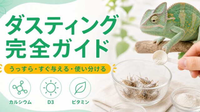 爬虫類の餌のダスティング完全ガイド｜カルシウム剤のまぶし方・量・タイミング・ダストカップの使い方を徹底解説の要点を伝えるカメレオン・爬虫類記事アイキャッチ画像
