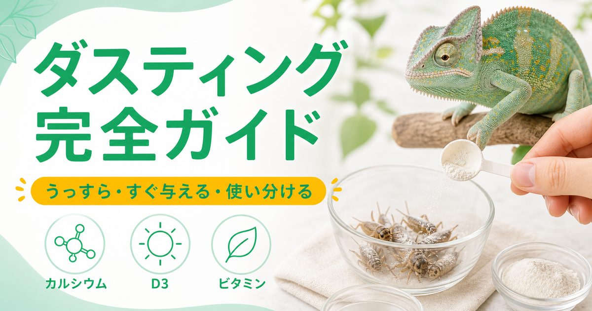 爬虫類の餌のダスティング完全ガイド｜カルシウム剤のまぶし方・量・タイミング・ダストカップの使い方を徹底解説の要点を伝えるカメレオン・爬虫類記事アイキャッチ画像