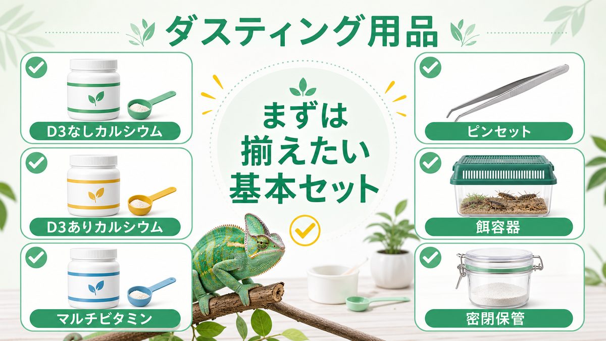 ダスティングにおすすめの用品の要点をまとめたカメレオン・爬虫類飼育インフォグラフィック