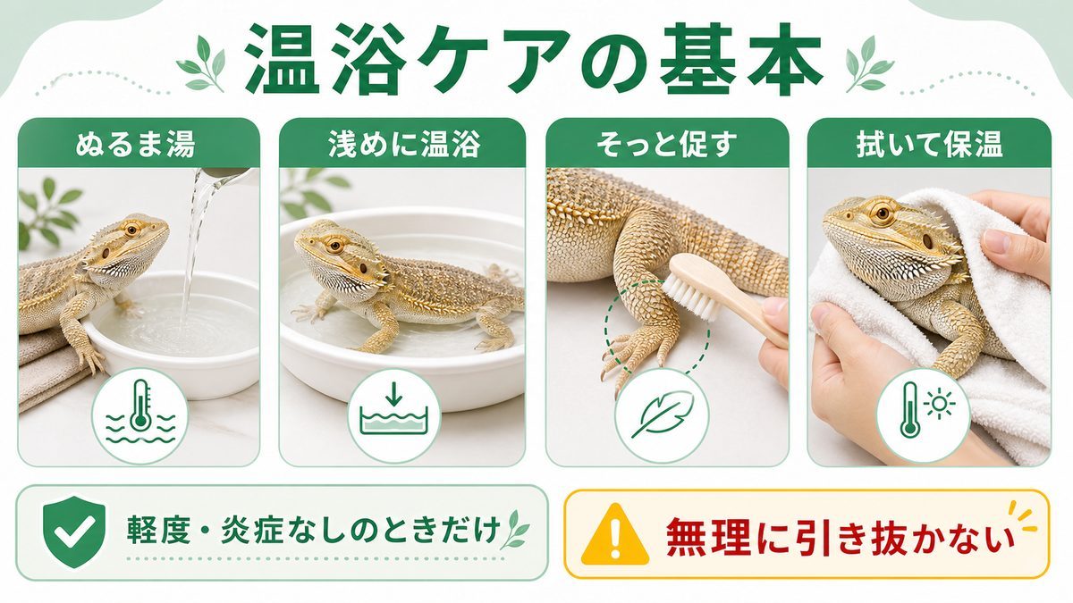 自宅での温浴ケアと注意点の要点をまとめたカメレオン・爬虫類飼育インフォグラフィック