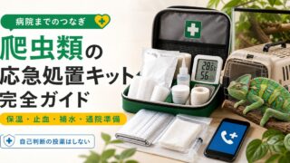 爬虫類の応急処置キット・救急セット完全ガイド｜緊急時に備える常備品と使い方を徹底解説の要点を伝えるカメレオン・爬虫類記事アイキャッチ画像