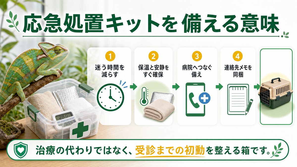 応急処置キットを備える意味の要点をまとめたカメレオン・爬虫類飼育インフォグラフィック