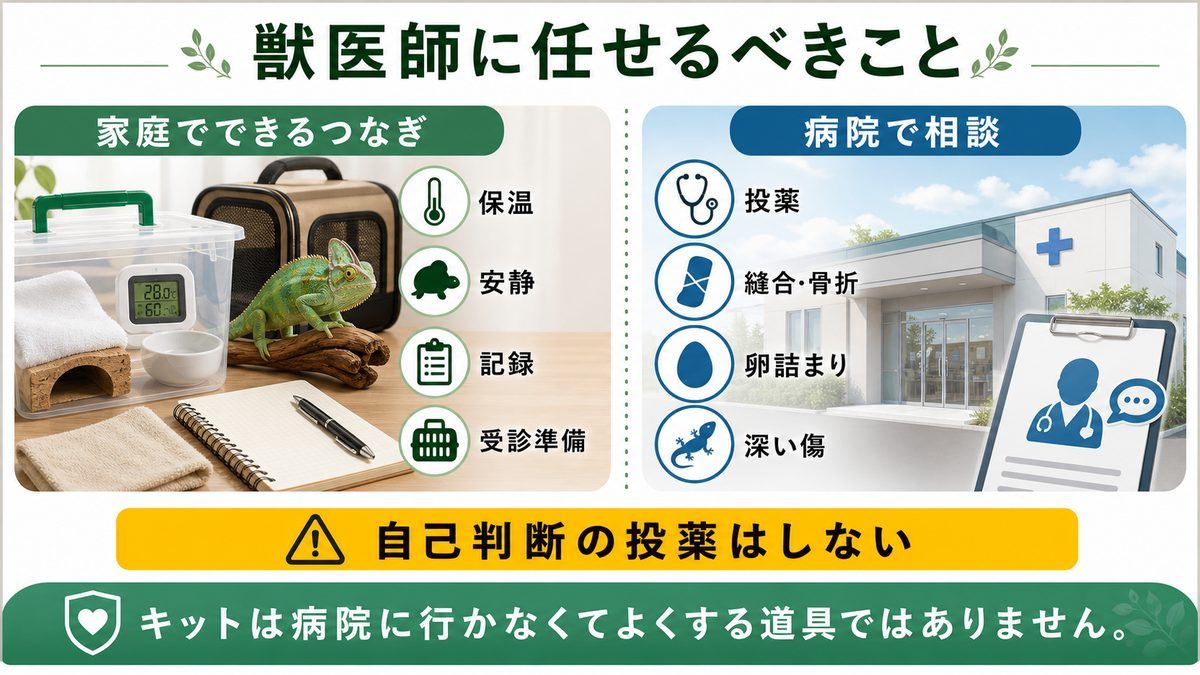 獣医師に任せるべきことの要点をまとめたカメレオン・爬虫類飼育インフォグラフィック