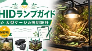 爬虫類飼育のHID・メタルハライドランプ完全ガイド｜水銀灯の仕組み・種類比較・安定器の選び方・大型ケージへの設置方法の要点を伝えるカメレオン・爬虫類記事アイキャッチ画像