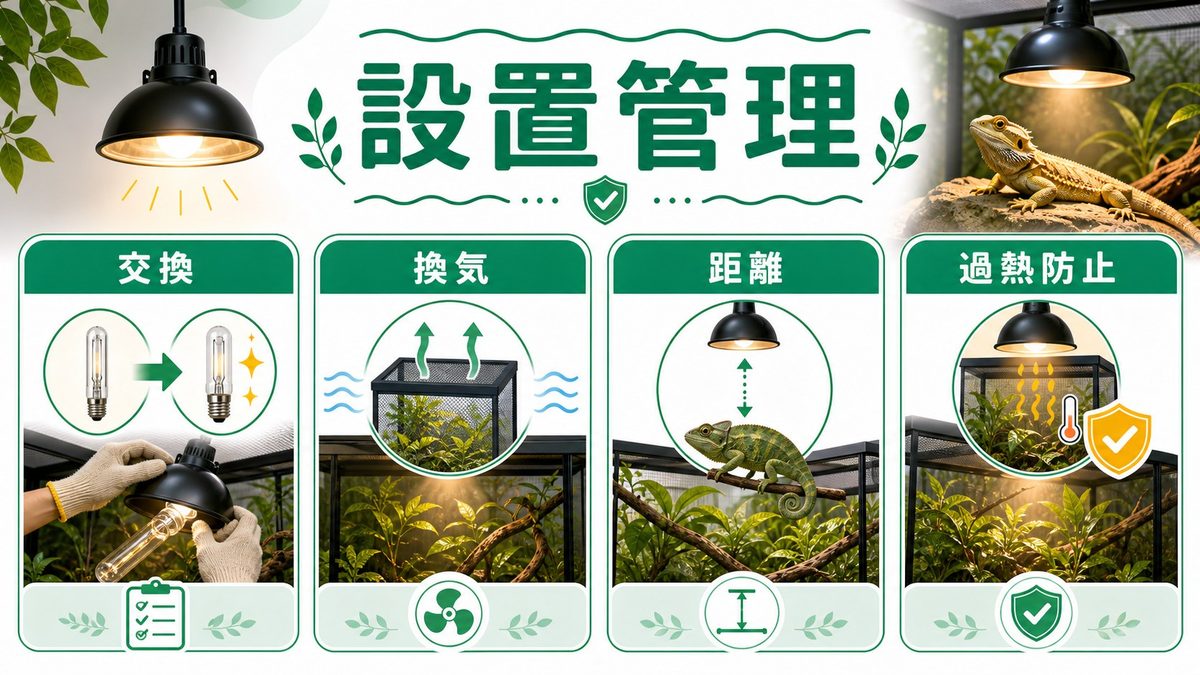 設置と管理｜電球寿命・交換周期・過熱防止・換気の実践テクニックの要点をまとめたカメレオン・爬虫類飼育インフォグラフィック
