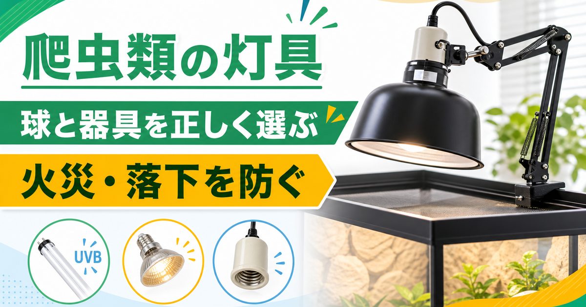 爬虫類のランプフード・反射板・ソケット完全ガイド｜クランプライト・陶器ソケット・アームスタンドの選び方と設置を徹底解説の要点を伝えるカメレオン・爬虫類記事アイキャッチ画像