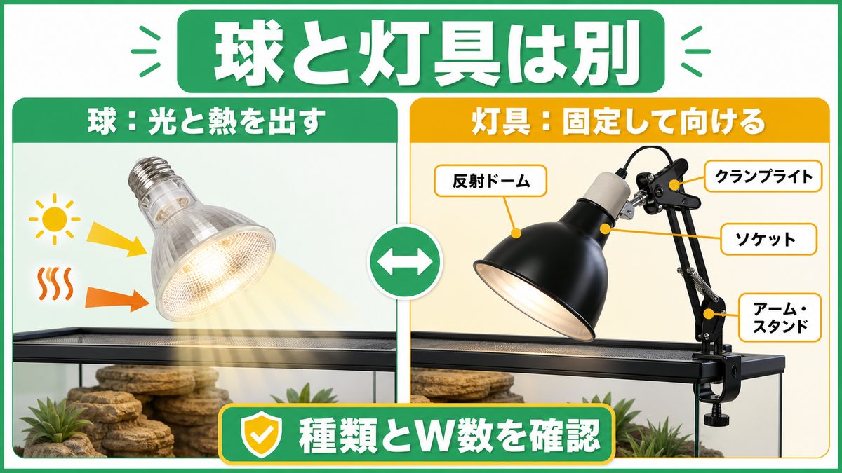 灯具とは？「球」と「器具」は別物ですの要点をまとめたカメレオン・爬虫類飼育インフォグラフィック