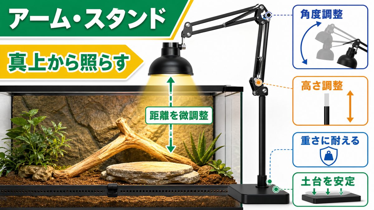アーム・スタンドで角度を調整するの要点をまとめたカメレオン・爬虫類飼育インフォグラフィック