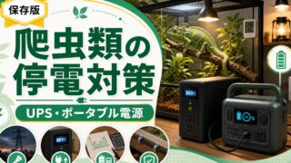 爬虫類飼育の停電対策電源・ポータブル電源完全ガイド｜UPS・大容量バッテリーの容量計算と自動切替を徹底解説の要点を伝えるカメレオン・爬虫類記事アイキャッチ画像