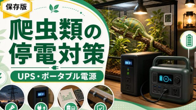 爬虫類飼育の停電対策電源・ポータブル電源完全ガイド｜UPS・大容量バッテリーの容量計算と自動切替を徹底解説の要点を伝えるカメレオン・爬虫類記事アイキャッチ画像
