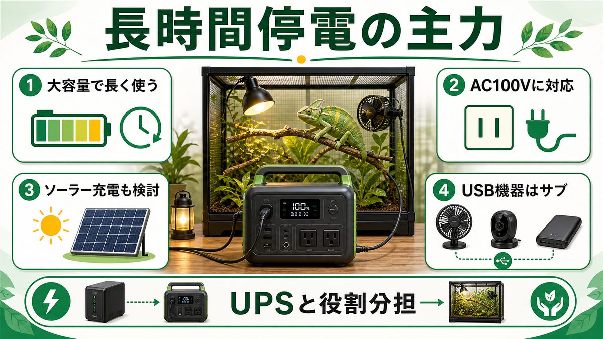 ポータブル電源・モバイルバッテリーの活用の要点をまとめたカメレオン・爬虫類飼育インフォグラフィック