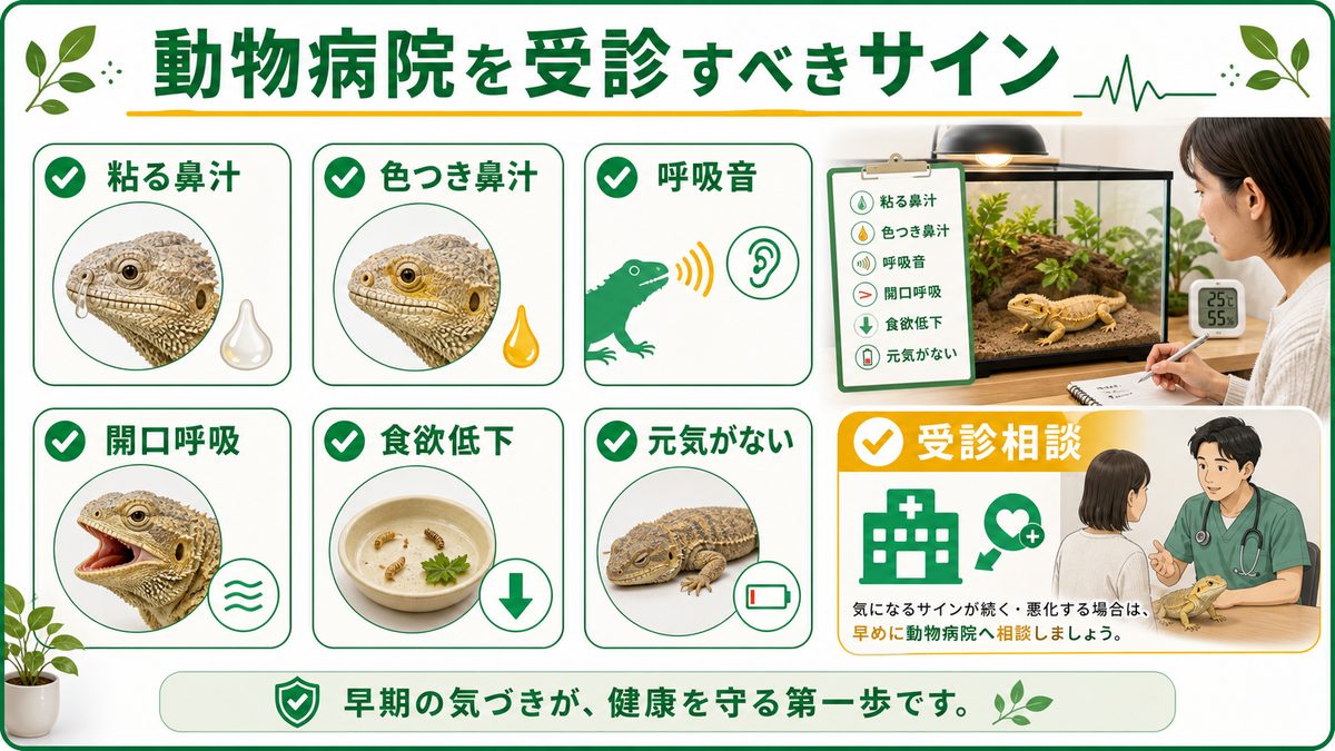 動物病院を受診すべきサインの要点をまとめたカメレオン・爬虫類飼育インフォグラフィック