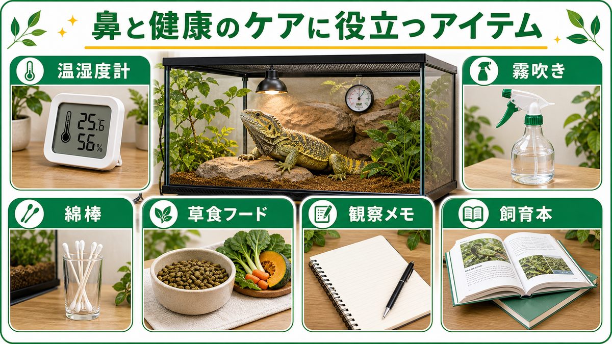 鼻と健康のケアに役立つアイテムの要点をまとめたカメレオン・爬虫類飼育インフォグラフィック