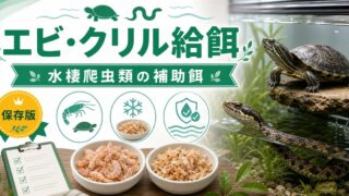エビ・クリルを水棲爬虫類の餌に！完全ガイド｜水棲カメ・水棲ヘビ・スッポンへの冷凍・乾燥エビの栄養・与え方を徹底解説の要点を伝えるカメレオン・爬虫類記事アイキャッチ画像