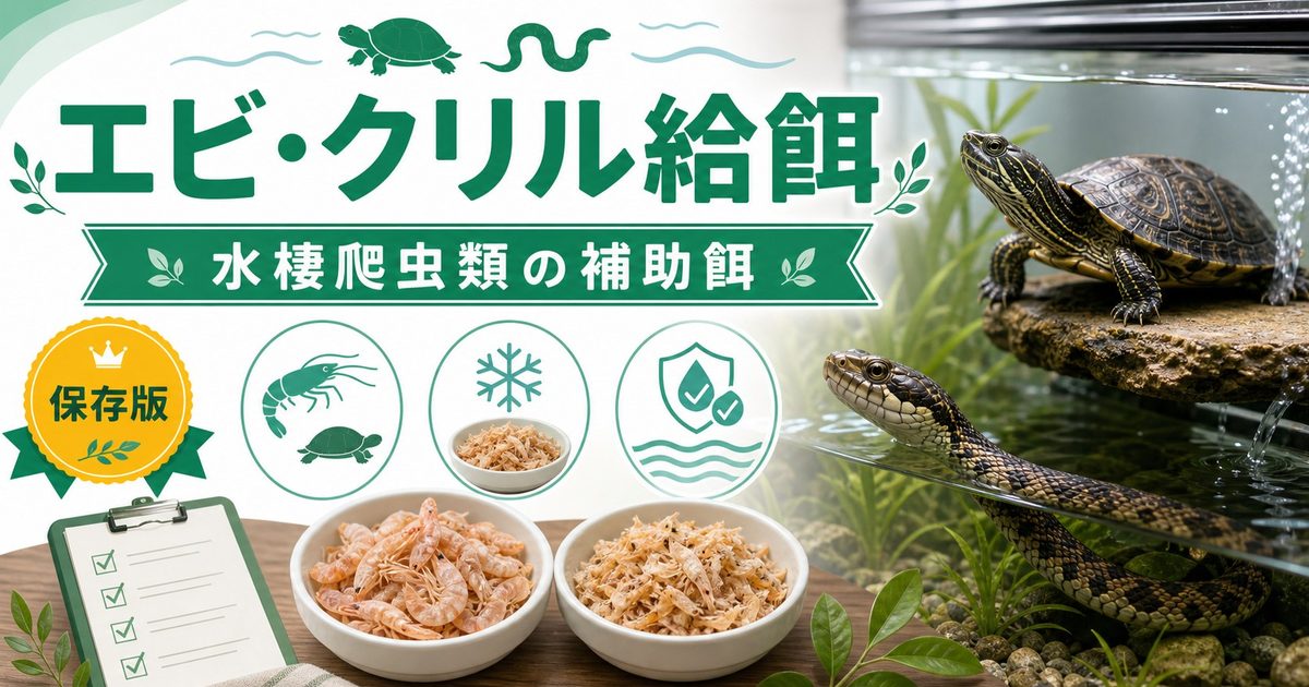 エビ・クリルを水棲爬虫類の餌に！完全ガイド｜水棲カメ・水棲ヘビ・スッポンへの冷凍・乾燥エビの栄養・与え方を徹底解説の要点を伝えるカメレオン・爬虫類記事アイキャッチ画像