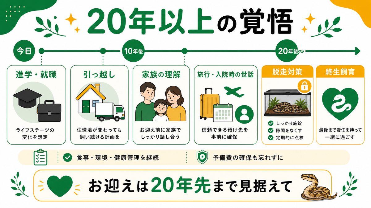 20年以上付き合う覚悟と終生飼育の要点をまとめたカメレオン・爬虫類飼育インフォグラフィック
