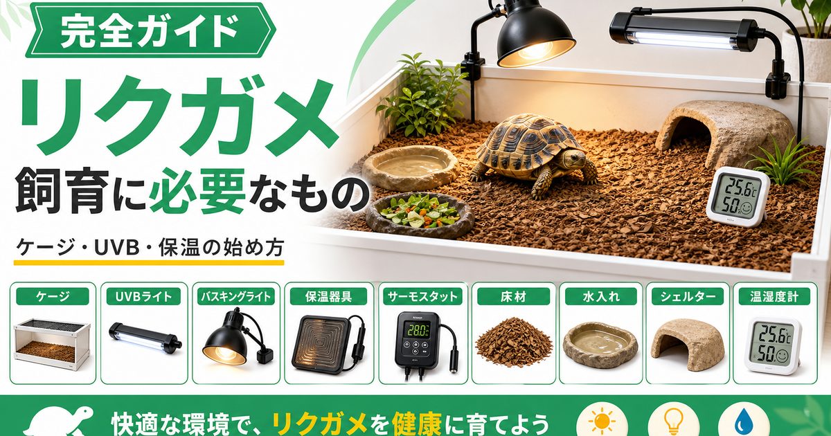 リクガメの飼育に必要なもの一式！ケージ・UVB・保温と初期費用を初心者向けに解説の要点を伝えるカメレオン・爬虫類記事アイキャッチ画像