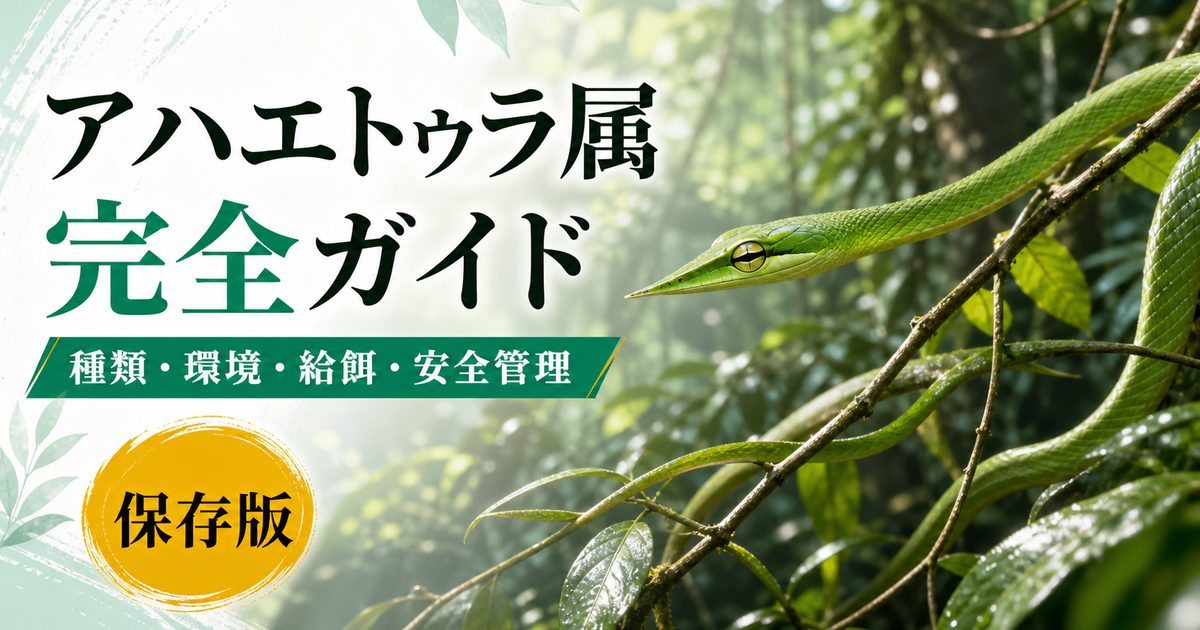 アハエトゥラ属（Ahaetulla）完全ガイド｜アジアツルヘビの種類・特徴・樹上性飼育法を属レベルで解説の要点を伝えるカメレオン・爬虫類記事アイキャッチ画像